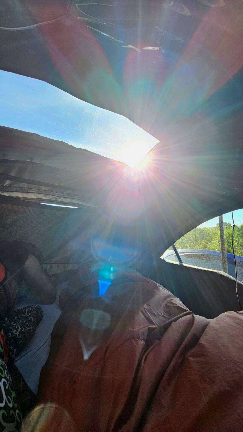 Guten Morgen 🌞