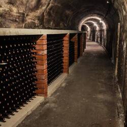 Tunnels in the winery
