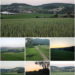 Kleine Abendrunde