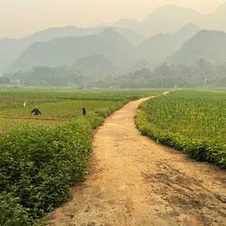 Imagine how incredible those hills would be if there was no haze...