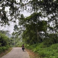 We cycled up the road that plunged deep into the Park’s central jungle hoping to see the butterflies