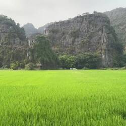 This is Ninh Binh! Stunning.