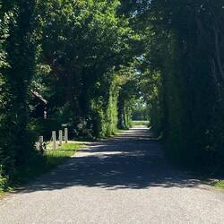 Natur pur
