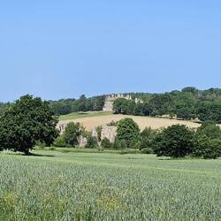 Dann kommen die Ruinen der Abbey zum ersten Mal in Sicht