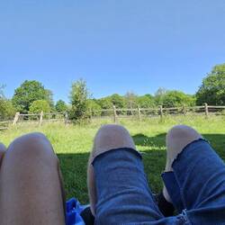 ...mit Blick in die Woodlands