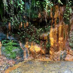 Water seeps from many points in the walls above the creek.