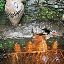 Five spouts with varying degrees of mineralization
