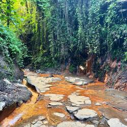 The creek below the fuente