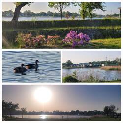 Abendrundgang um den See