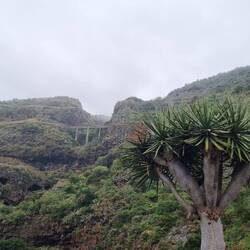A small bridge across one of the many gullies.