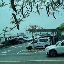 This car park in the city uses acres of solar panels to shade the cars