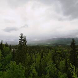 aussicht grillstelle am busen der natur