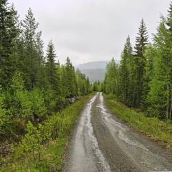 auf dem weg zum busen der natur