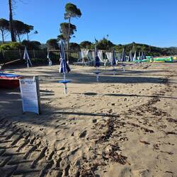 Hundestrand mit Liegestühlen