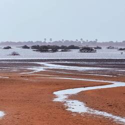 Eigentlich schön hier: Delta de Saloum 😃