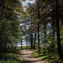 Weg zum Strand