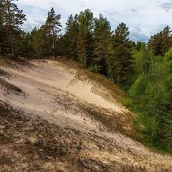 Rechts unten ist das Flüsschen und der Weg schwach erkennbar, links oben führt der Weg weiter.