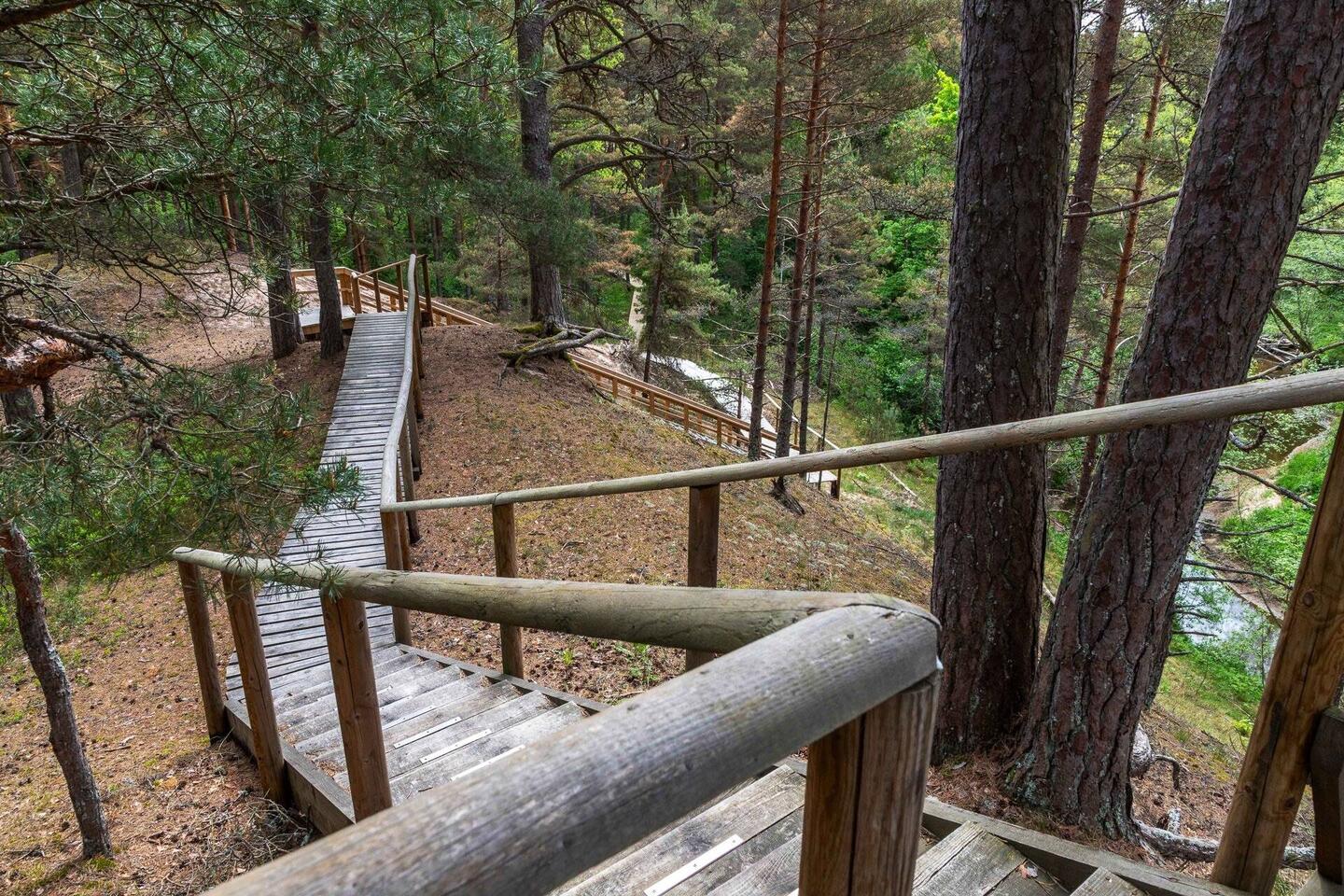 Der Weg durch die Dünenlandschaft geht hoch und runter über Holzbohlenwege und Treppen.