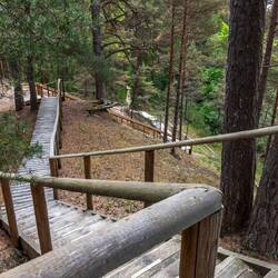 Der Weg durch die Dünenlandschaft geht hoch und runter über Holzbohlenwege und Treppen.