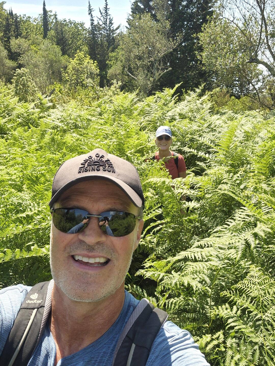 Teils schulterhohes Farn bei einer Wanderung