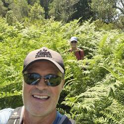 Teils schulterhohes Farn bei einer Wanderung