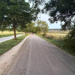 We had a variety of walking surfaces today. The first several miles out of the city were in parks.