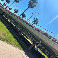 Pont de las Flores