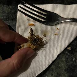 Mossel baard :(