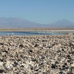 Salt flats at lower elevation evaporate fast leaving a mess that isn't drivable like Bolivia