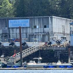 Approaching Shearwater, passed by some buildings on shore.