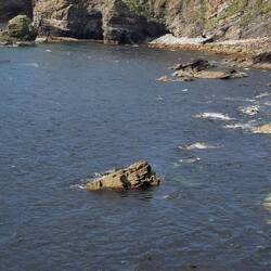 South Ronaldsay west coast walk