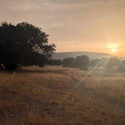 Sonnenaufgang ☀️