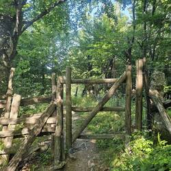 There were a lot of gates today, but no livestock
