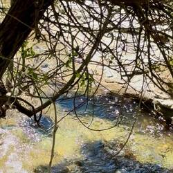 Manantial of the Río Bermejo