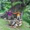 A millennial chestnut tree named Castaño Gordo
