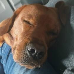 wieder pfüsio..😴😴