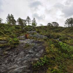 spaziergang richtung saltbuhatten