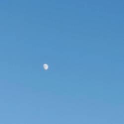 Bald ist Vollmond
