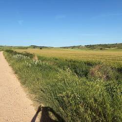 The view today. All of it. All day. Except the parts that looked like this but going uphill.