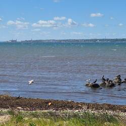 Blick über den Öresund nach Helsingør