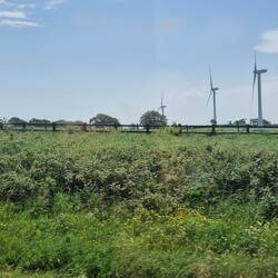 Windfarm vor Taunton