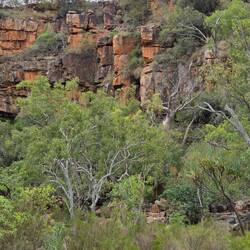 Adcock gorge
