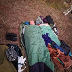 Snug as a bug