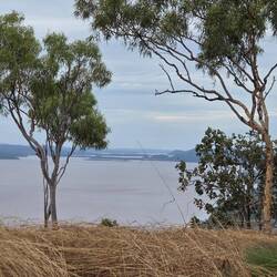 5 rivers from Wyndham lookout
