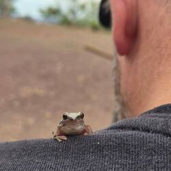 ..and a little frog on Dan's shoulder