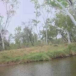 Another bumpy river crossing