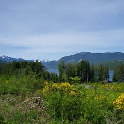 Campbell River Lake