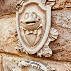 Toads 🐸 Adventure