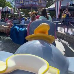 Us flying Dumbo