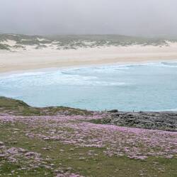 Wolken, Meer, Blütenmeer